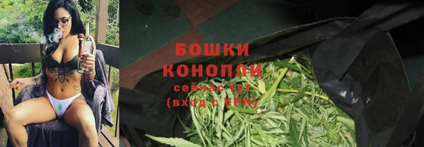 шишки Алексеевка