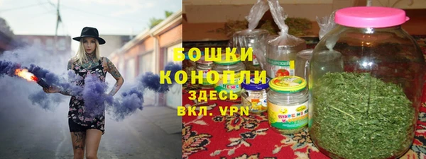 шишки Алексеевка