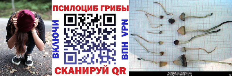 МЕГА зеркало  Макушино  Галлюциногенные грибы мицелий 