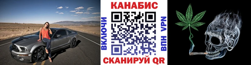 Каннабис OG Kush  Макушино 